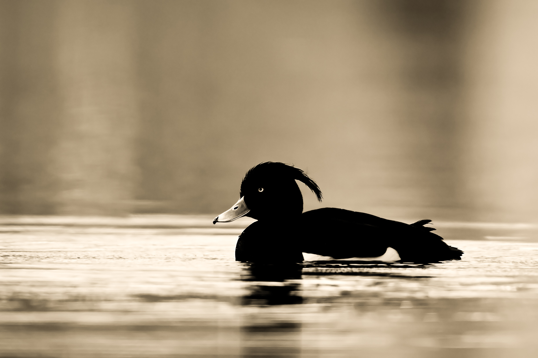 FB-20120430-0318-9-Edit